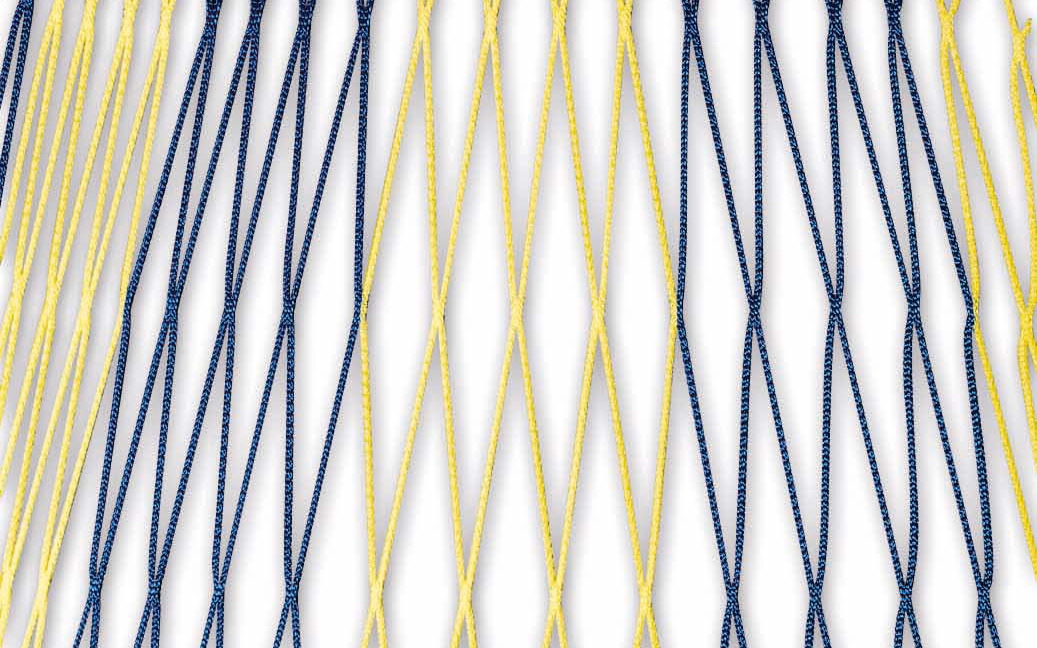 Zweifarbiges Netz für Jugendtore 5 x 2 m in Blau-Gelb